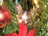 6287.my cat.xmas